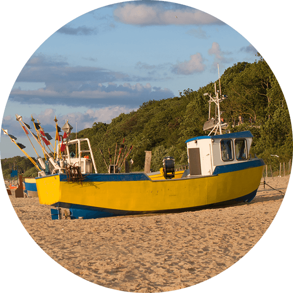pesca